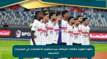 «قوة الفوز» مكافآت الزمالك سر استمرار الانتصارات في المباريات الحاسمة